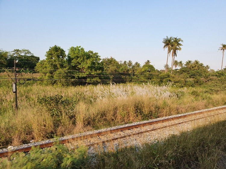 Typical View from the Bangkok to Padang Besar Train