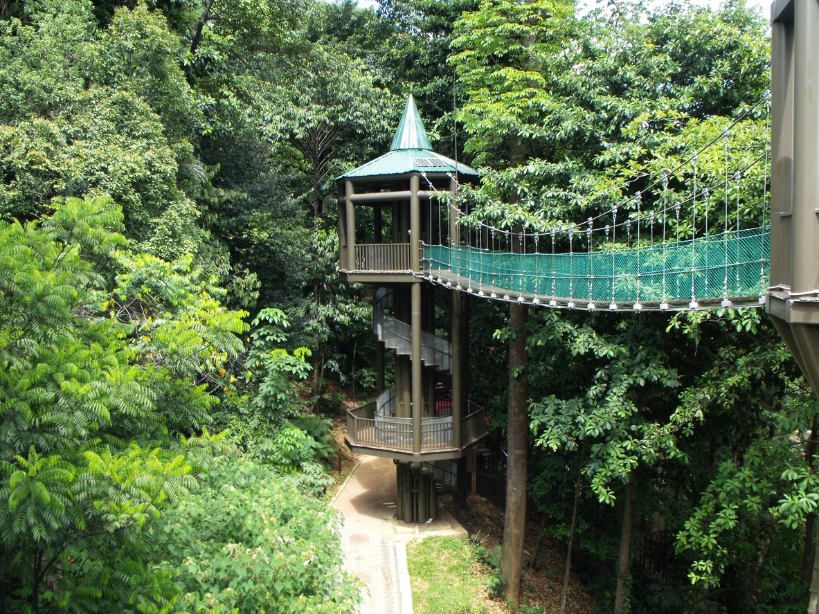 environmental conservation photos, forest photos, Kuala Lumpur photos, public park photos, animal wildlife photos, architecture photos, Asia