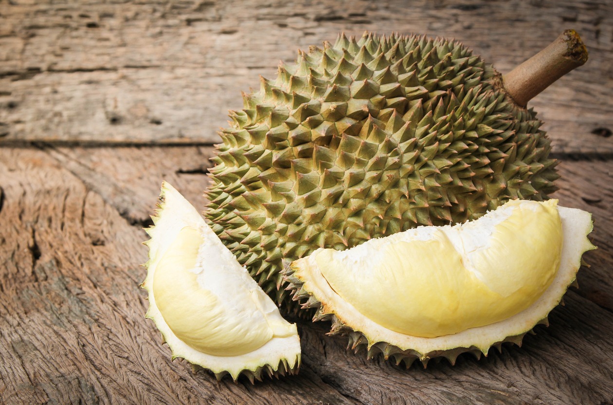 food and drink, food, drink, spring, durian photos, durian tree photos, fruit photos