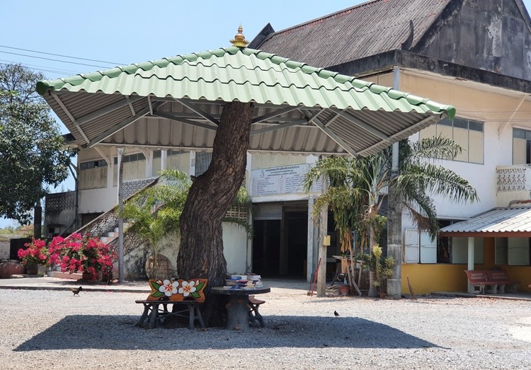 Hua Hin Tree With Roof