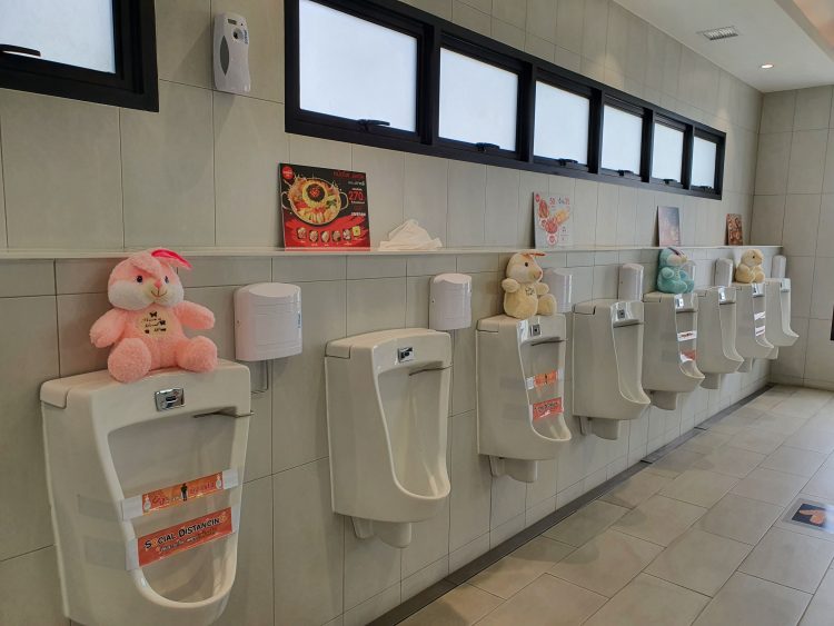 Toilet Bears