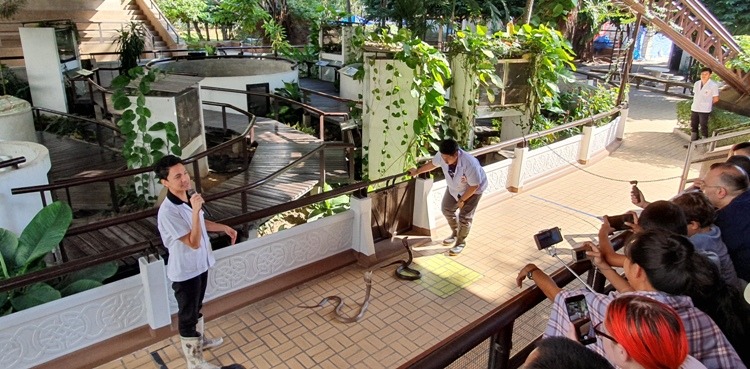 Snake Handling Show at Bangkok Snake Farm