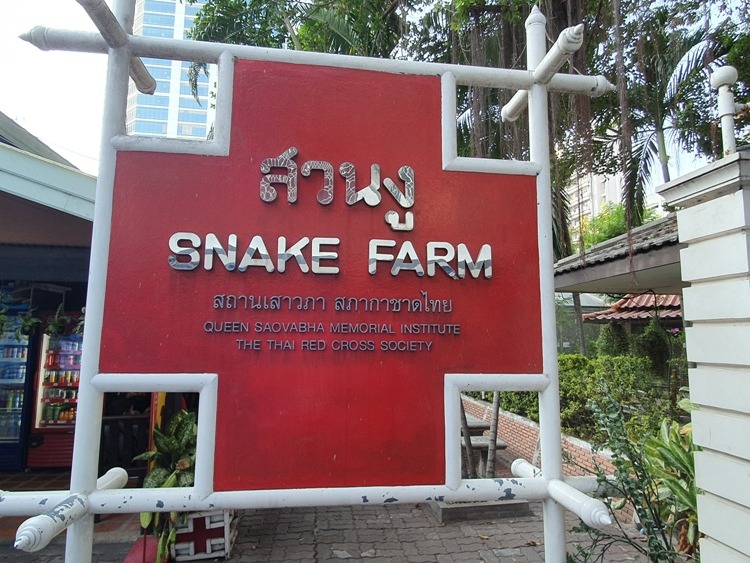 Bangkok Snake Farm