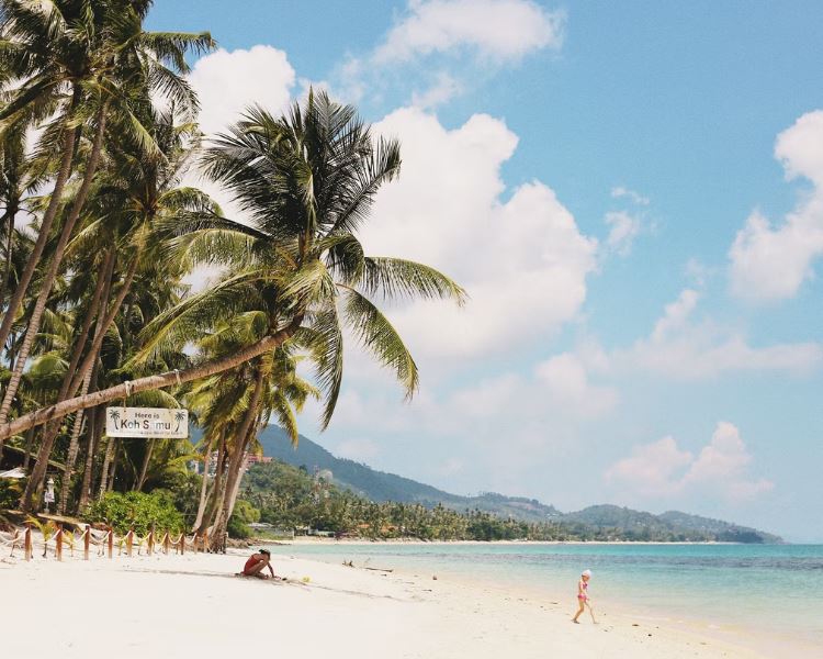 Koh Samui, Hd Tropical Wallpapers, Travel Photo