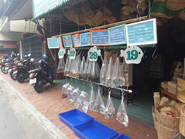 Fish For Sale In Phetchaburi