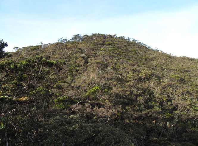 Mount Tambuyukon